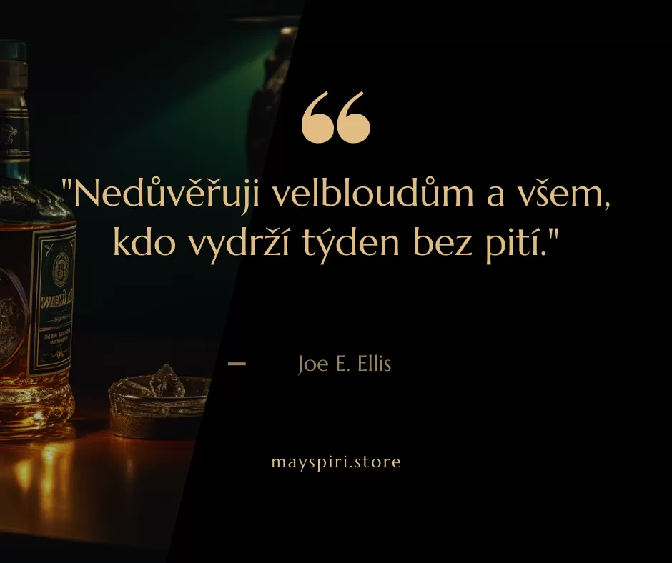 Obrázek s citátem Citát od Joe E. Ellis